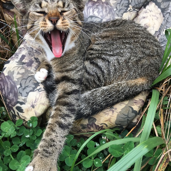 PRICE DROP!! - Picture 8 of 8